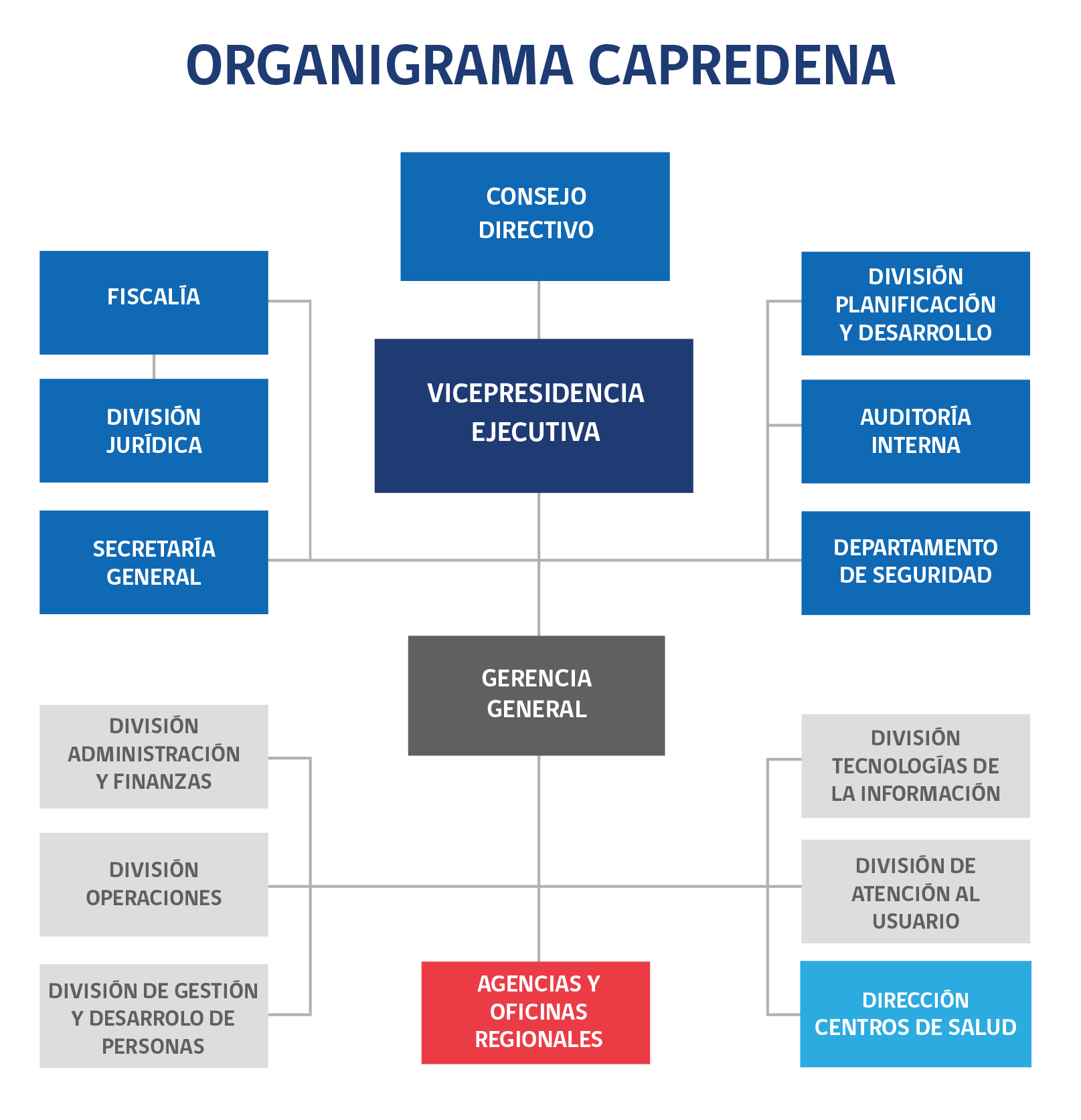 organigrama2025